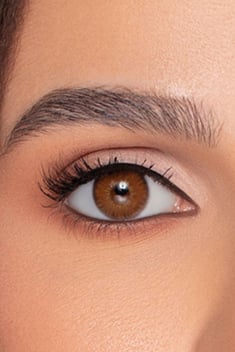 Contact Lenses Brown