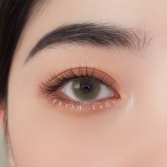 Contact Lenses Contact Lenses - Brown