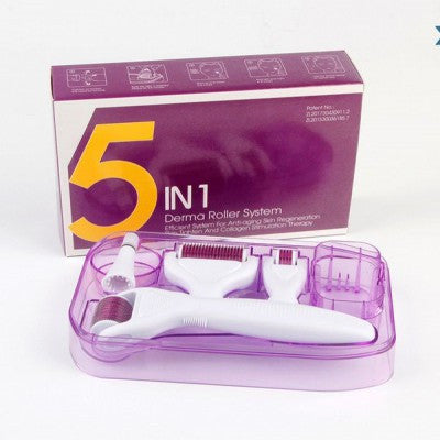 5 in 1 derma roller set