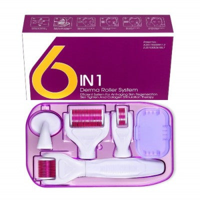 6 in 1 Derma Roller Set