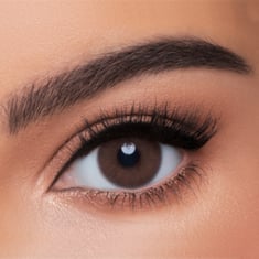 Wonderlook Contact Lenses Color Color