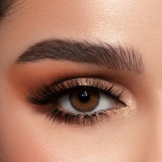 Contact Lenses Contact Lenses - Brown