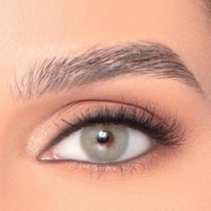Contact Lenses Contact Lenses