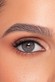 Contact Lenses